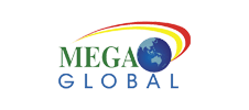 Mega Global Corporation Website and SEO Project